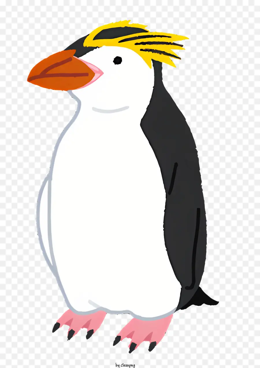 Natureza，Pinguim PNG