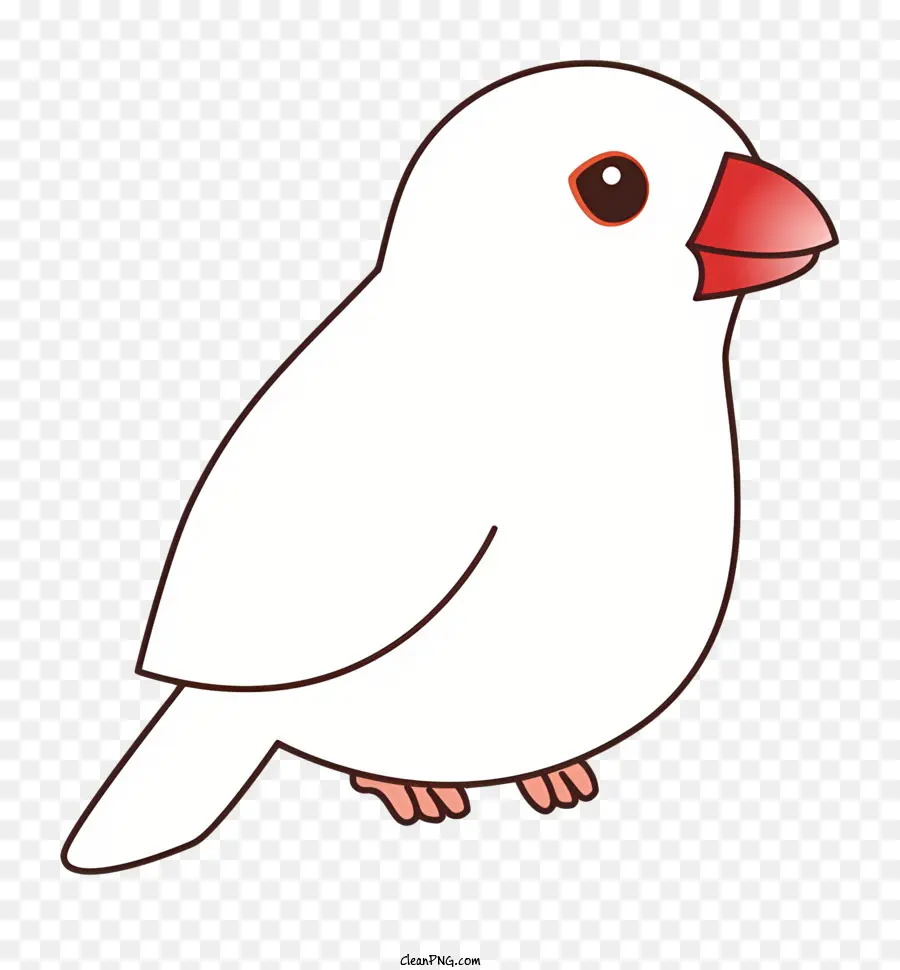 Pássaro Branco，Bico Vermelho PNG