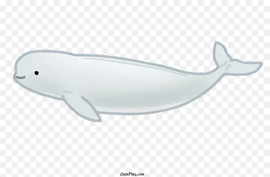 Natureza，Baleia Branca PNG