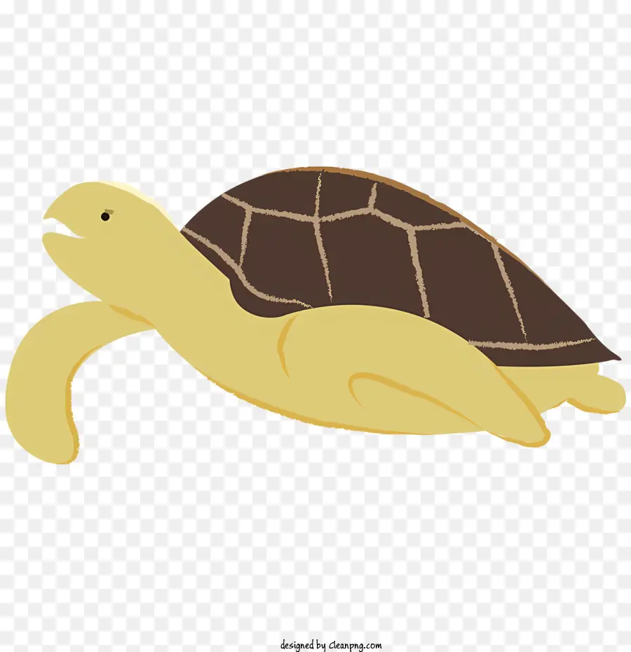 Turtle，Tartaruga Marrom PNG