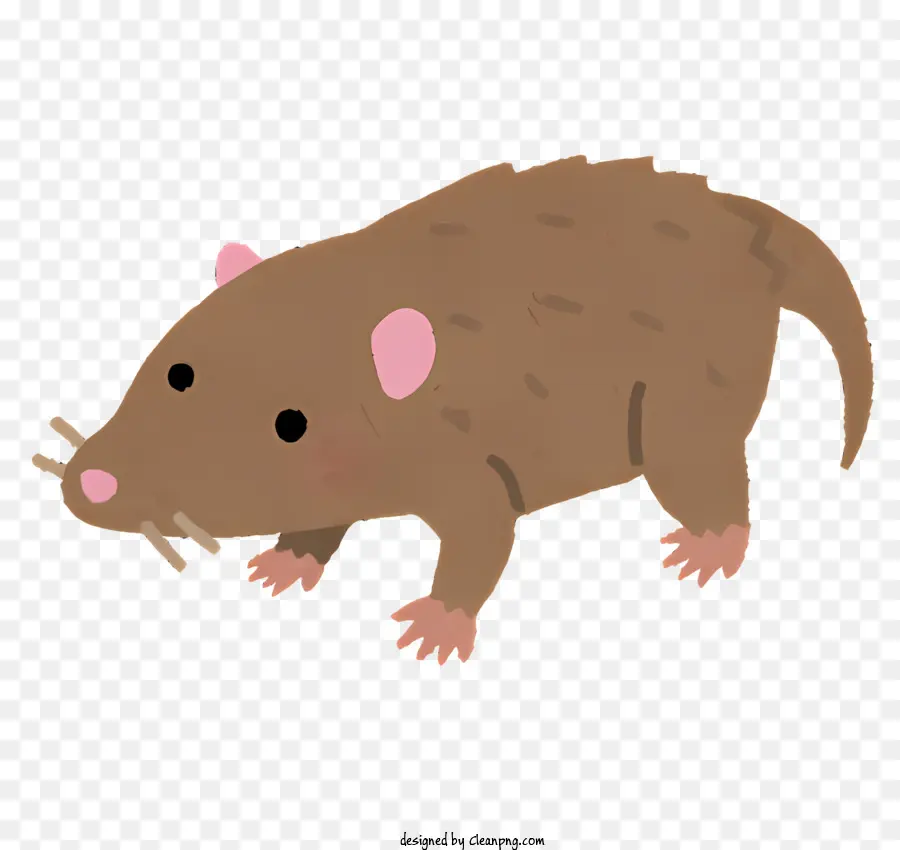 Natureza，Rato Pequeno PNG