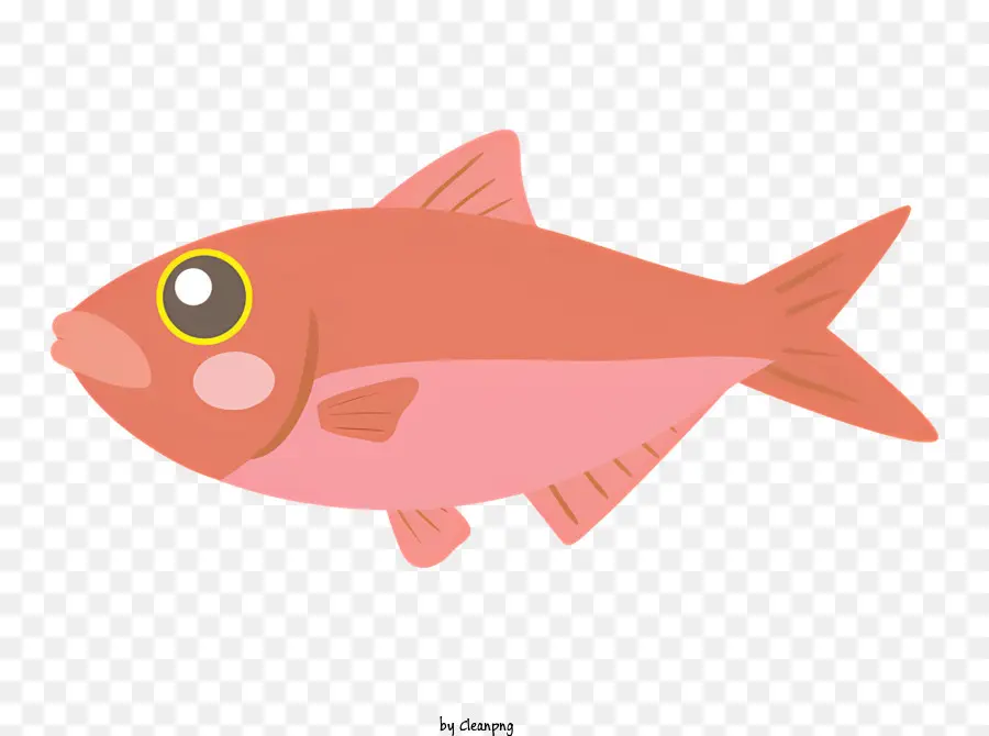 Cartoon Peixe，Peixe Bonito PNG