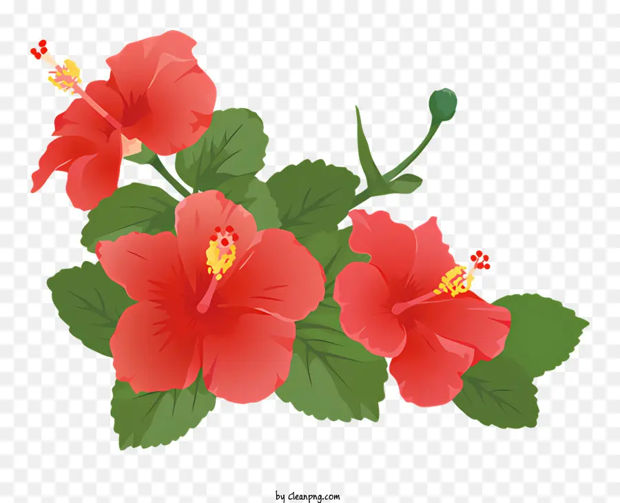 ícone，Flor De Hibisco PNG