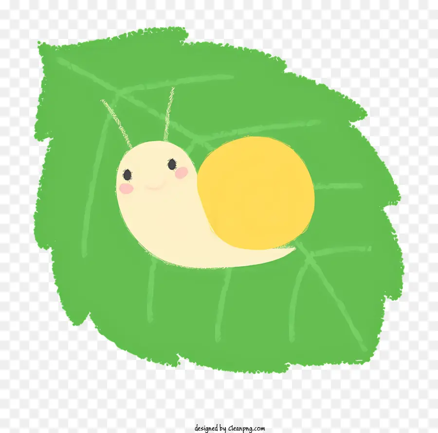 Caracol，Folha Verde PNG