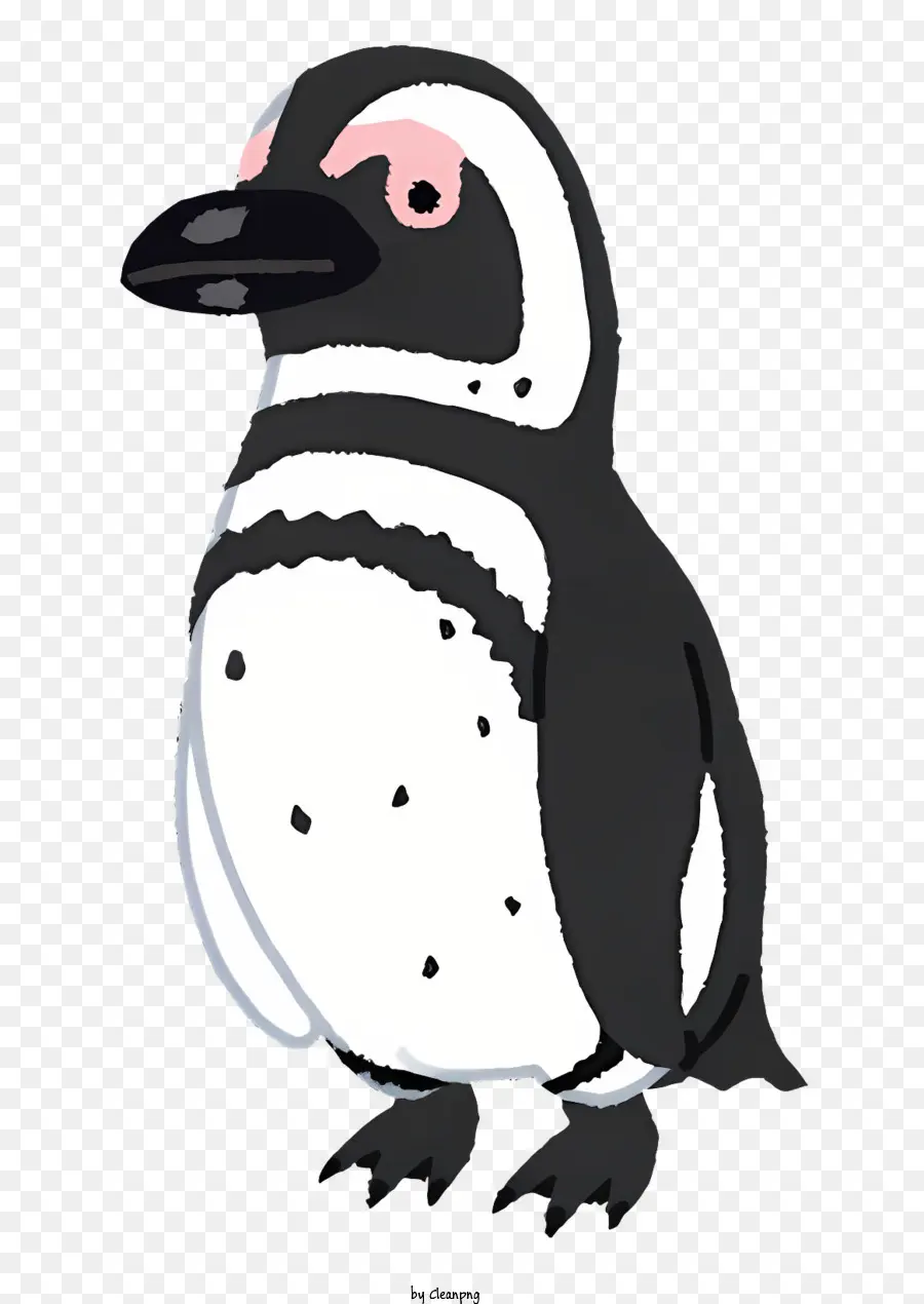 Natureza，Penguin PNG