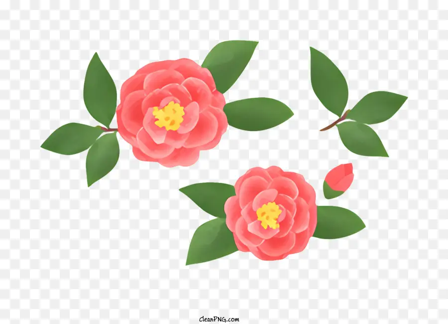 Flores Cor De Rosa，Folhas Verdes PNG