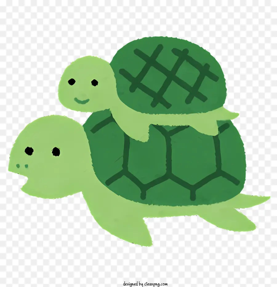 Natureza，Turtle PNG