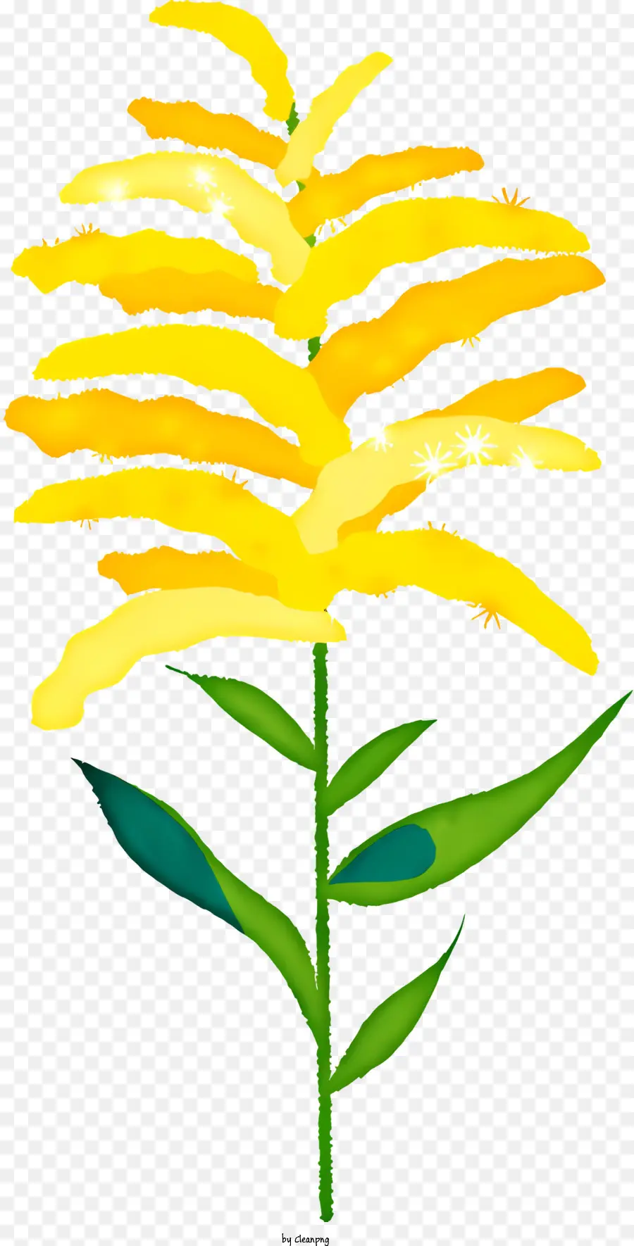 Flor，Pétalas Amarelas PNG
