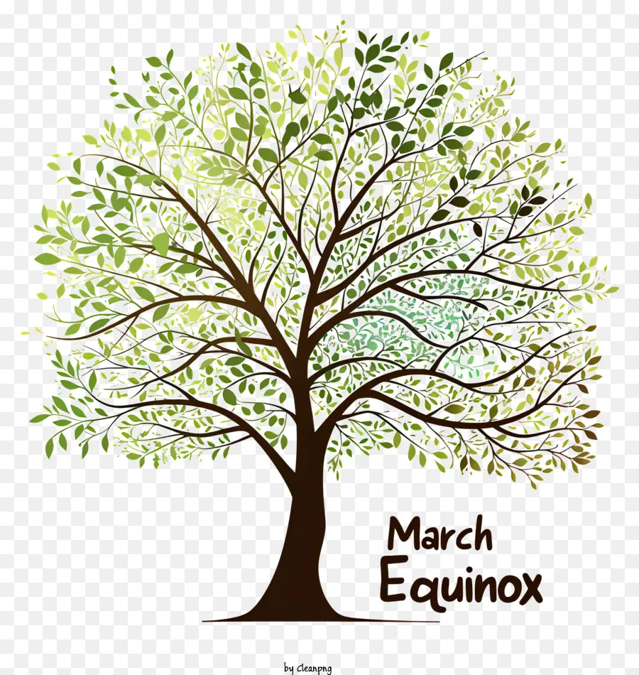 O Equinócio De Março，árvore Grande PNG