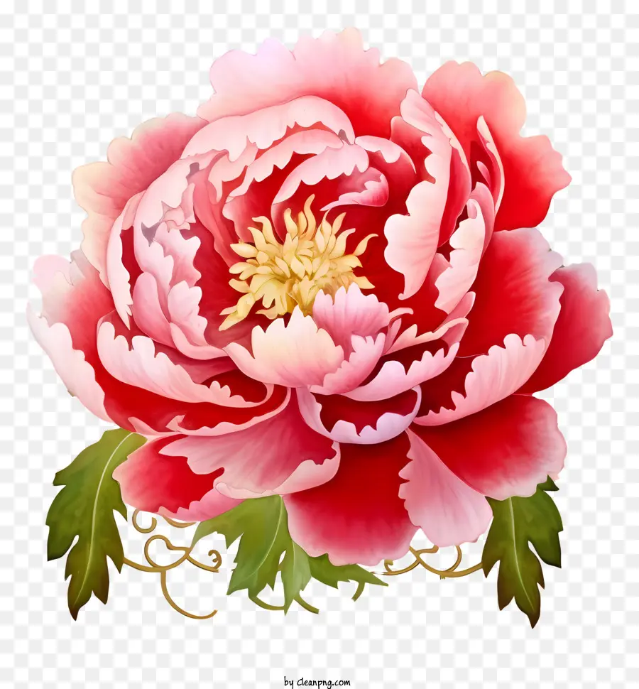 Peony De Ano Novo Chinês Em Aquarela，Cor De Rosa Peônia Flor PNG