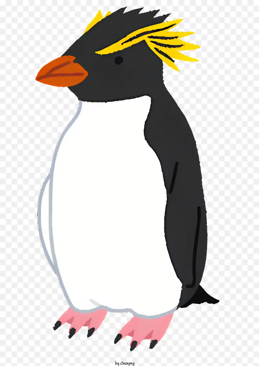 Natureza，Cartoon Penguin PNG