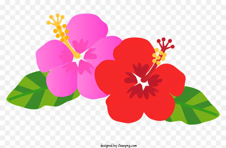 Flores De Hibisco，Hibisco Vermelho PNG