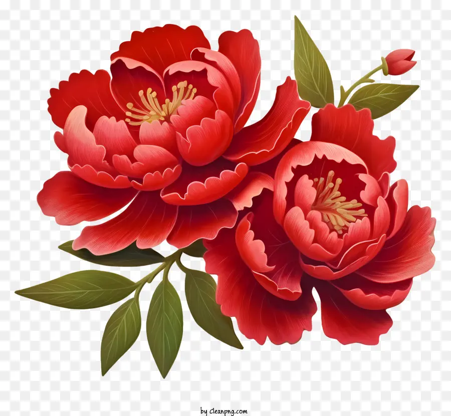 Peony Realista Do Ano Novo Chinês，Peônia Vermelha Flor PNG