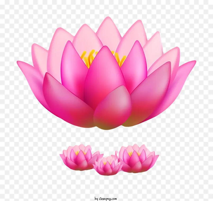 Bodhi Dia，Flores De Lótus Rosa PNG