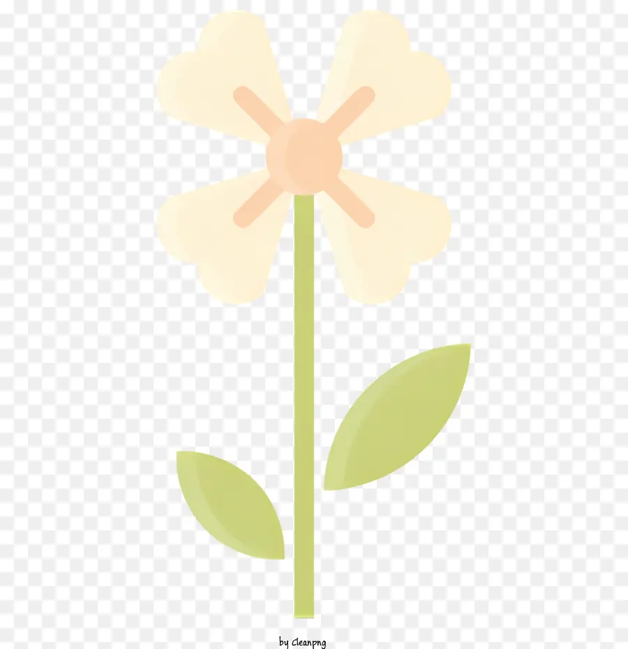 Primavera，Flor PNG