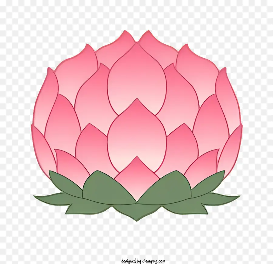 Bodhi Dia，Flor De Lótus Rosa PNG