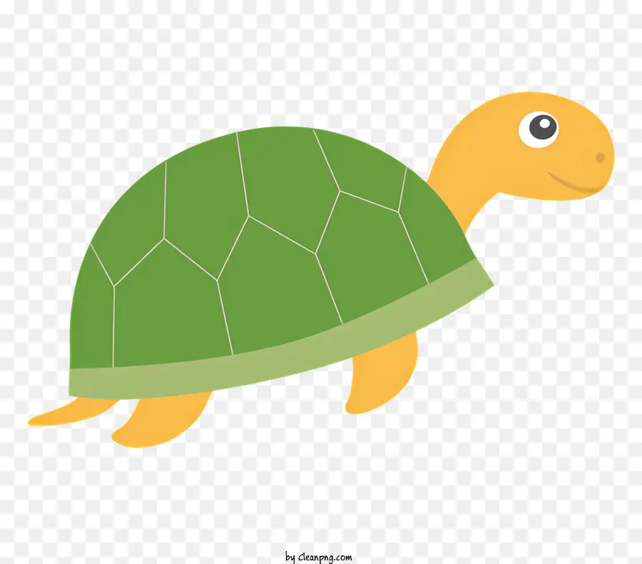 Turtle，Curta Tartaruga PNG