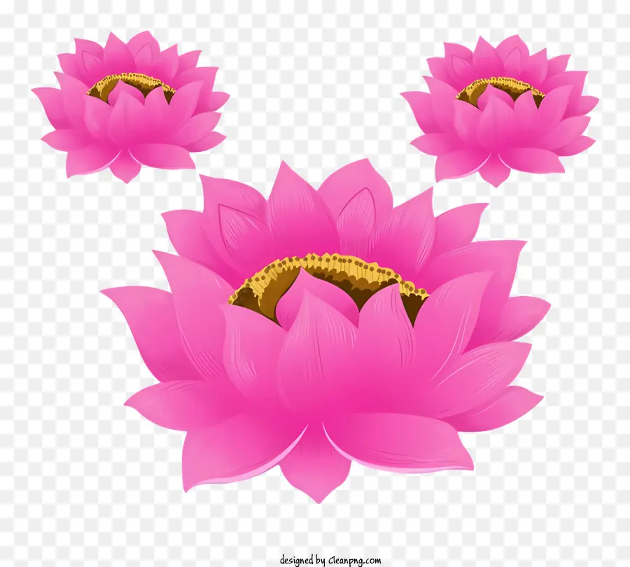 Dia De Bodhi，Flores De Lótus Rosa PNG