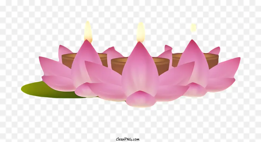 Bodhi Dia，Flores De Lótus Rosa PNG