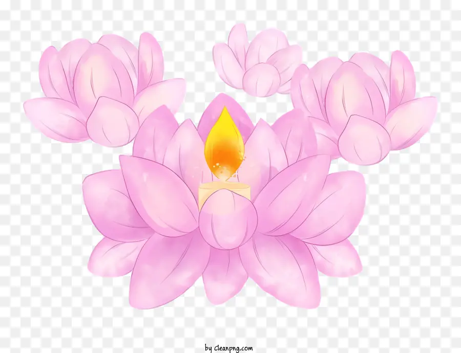 Bodhi Dia，Flores De Lótus Rosa PNG