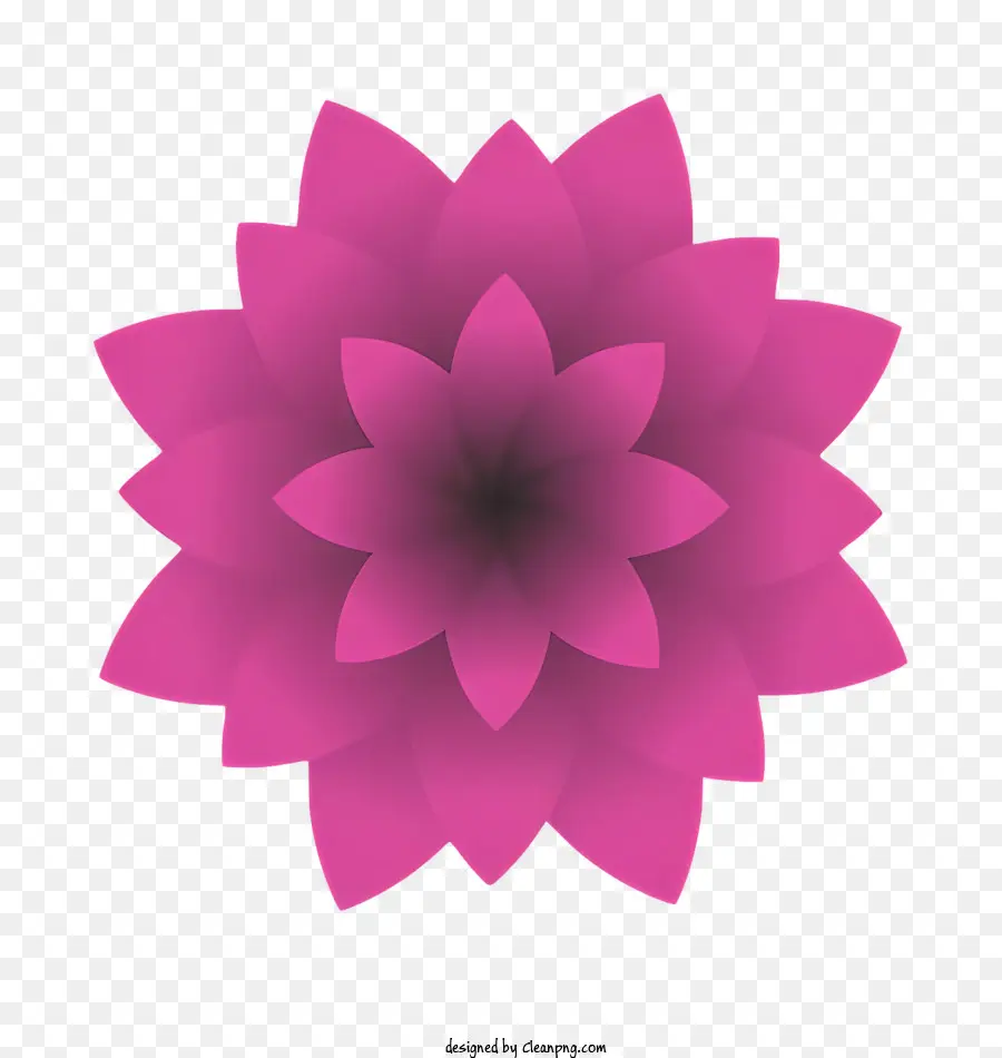 Bodhi Dia，Flor Rosa PNG