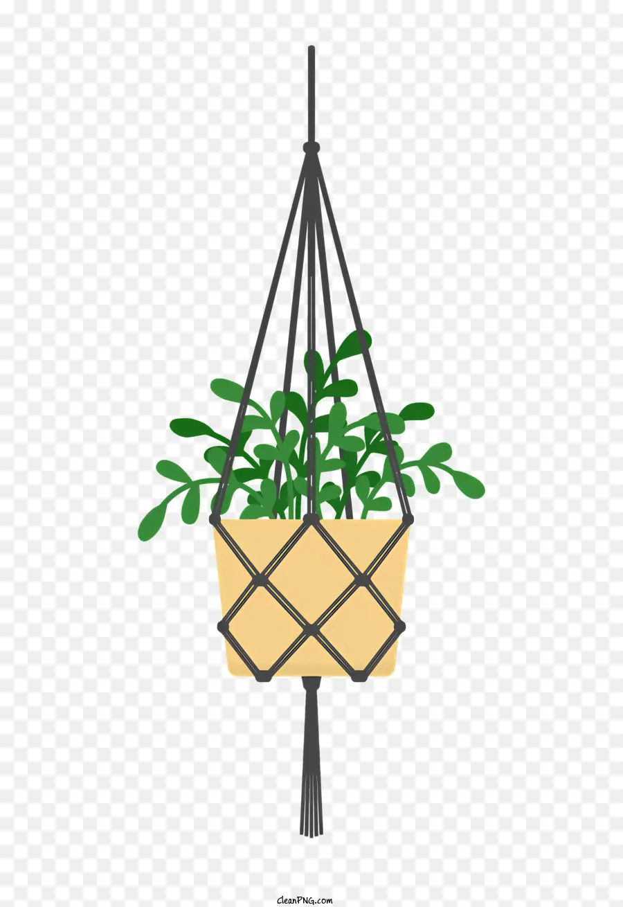 Suspensão Planta，Pote De Vime PNG