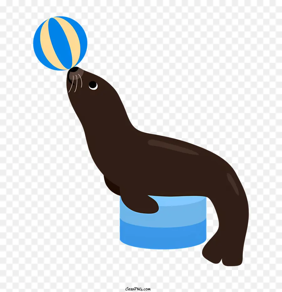 Educação，Seal Jogando Com Bola PNG