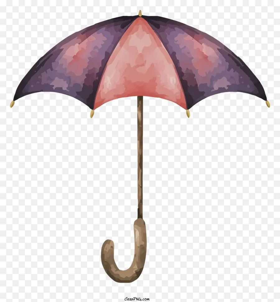 Cartoon，Guarda Chuva Roxo PNG