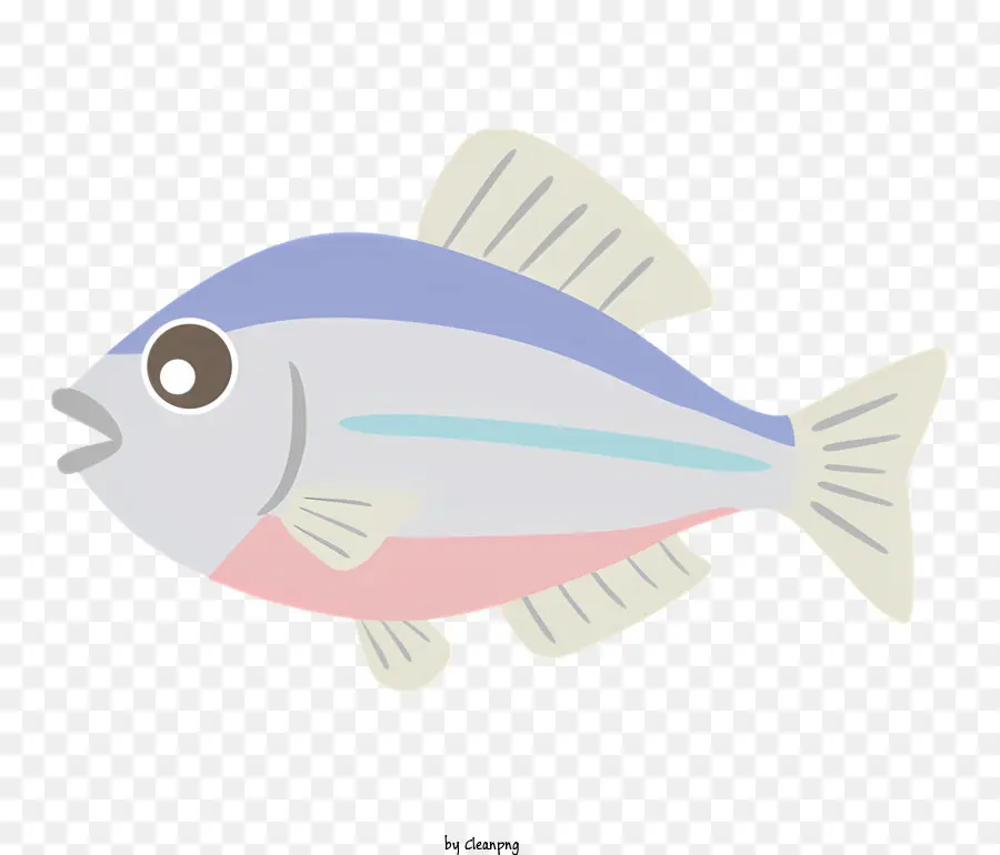 Educação，Pequenos Peixes PNG