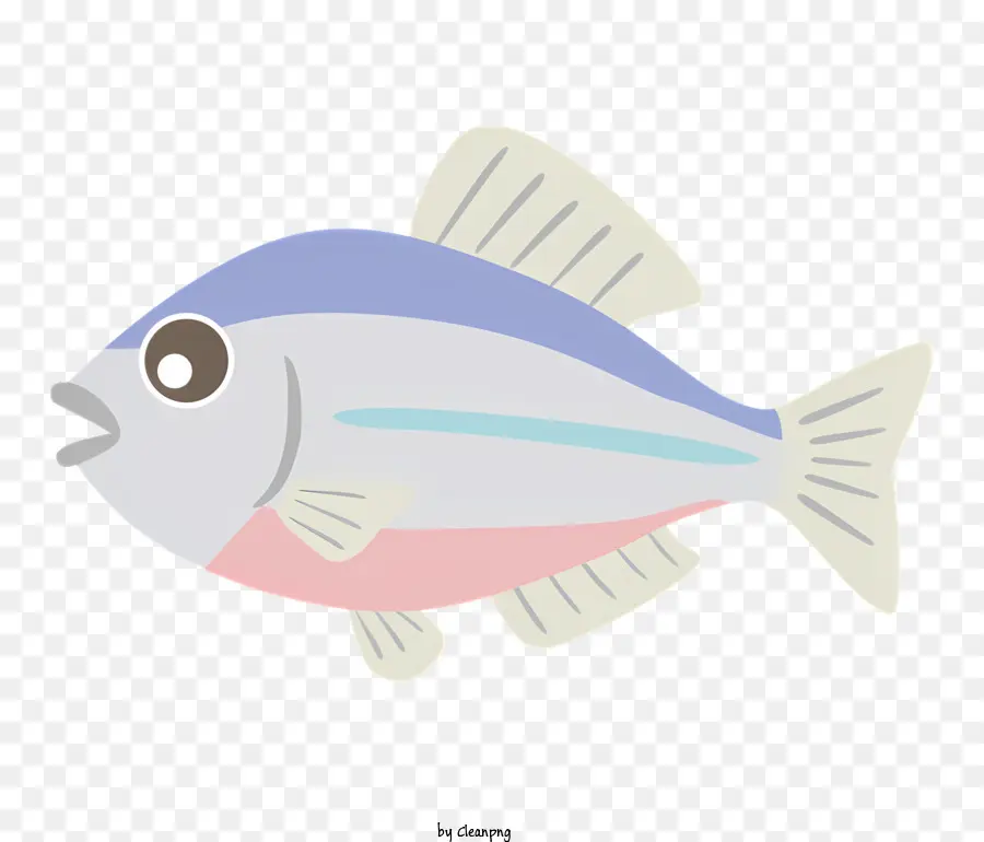 Educação，Peixe Fofo PNG