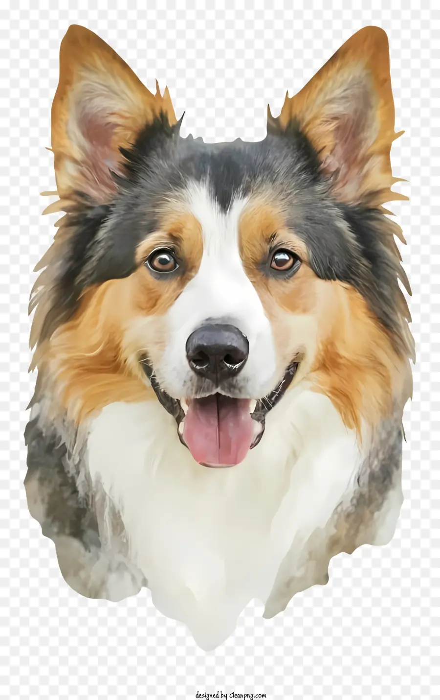 Cartoon，Cachorro PNG