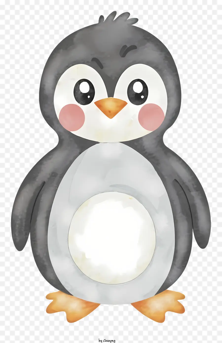 Cartoon，Pinguim Bonito PNG
