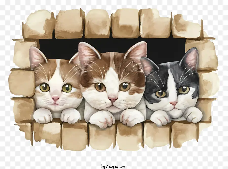 Cartoon，Gatos Espiando PNG