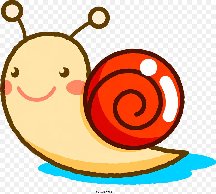 Caracol，Bonito PNG