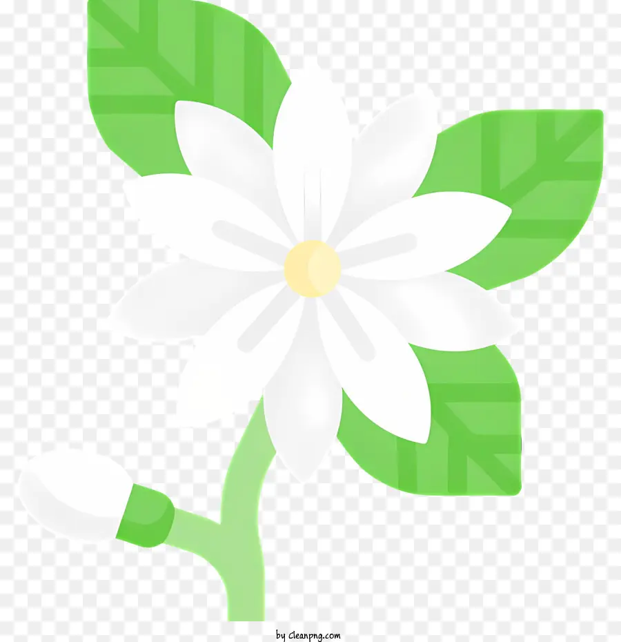 Primavera，Flor PNG