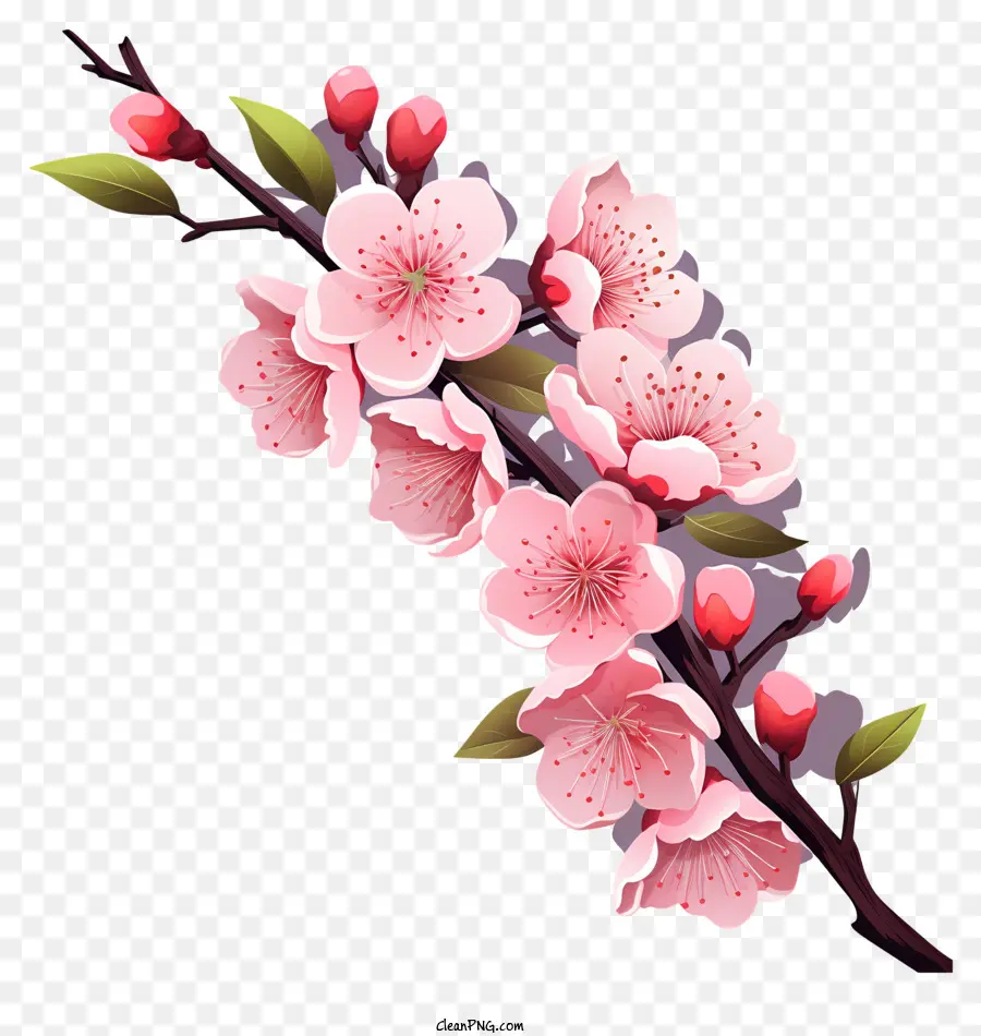 Galhos E Flores De Sakura，Flor Rosa De Sakura PNG