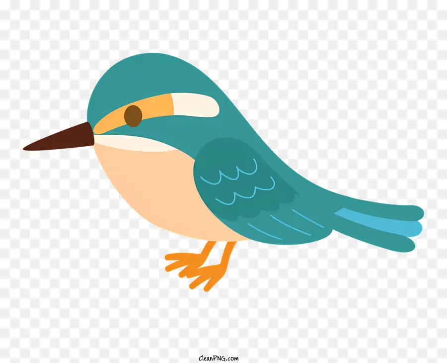 Pequeno Pássaro，Azul Corpo PNG