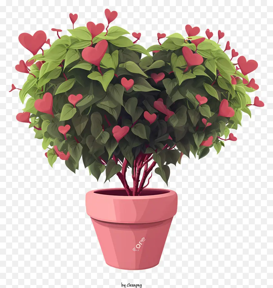 Planta Plana Dos Namorados，Planta De Vaso PNG