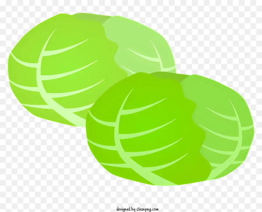 Alimentos，Repolho Verde PNG