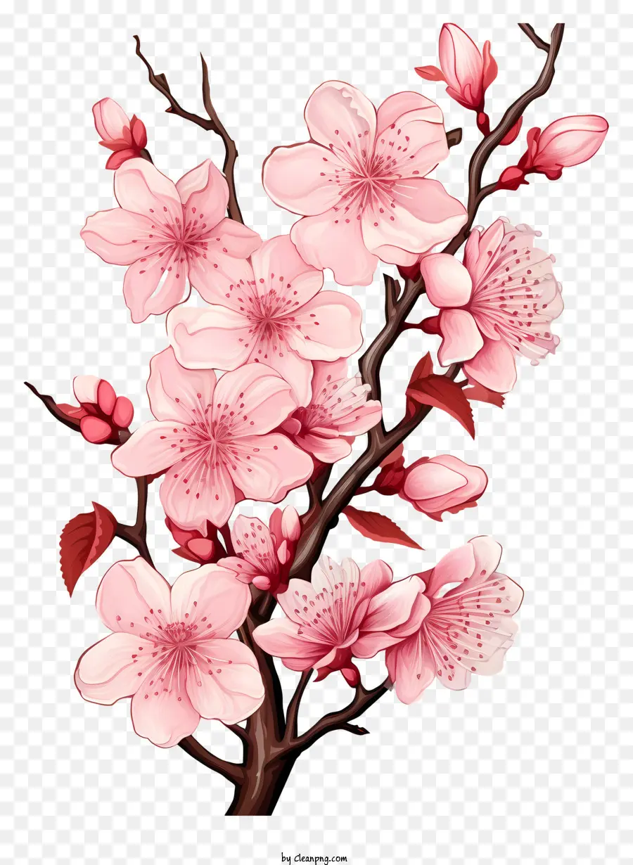 Blossom De Ramo De Cereja No Estilo Doodle，árvore De Sakura PNG
