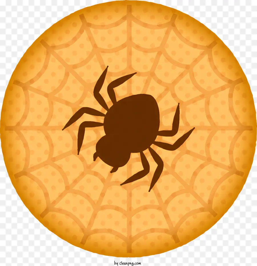 Teia De Aranha，Aranha PNG