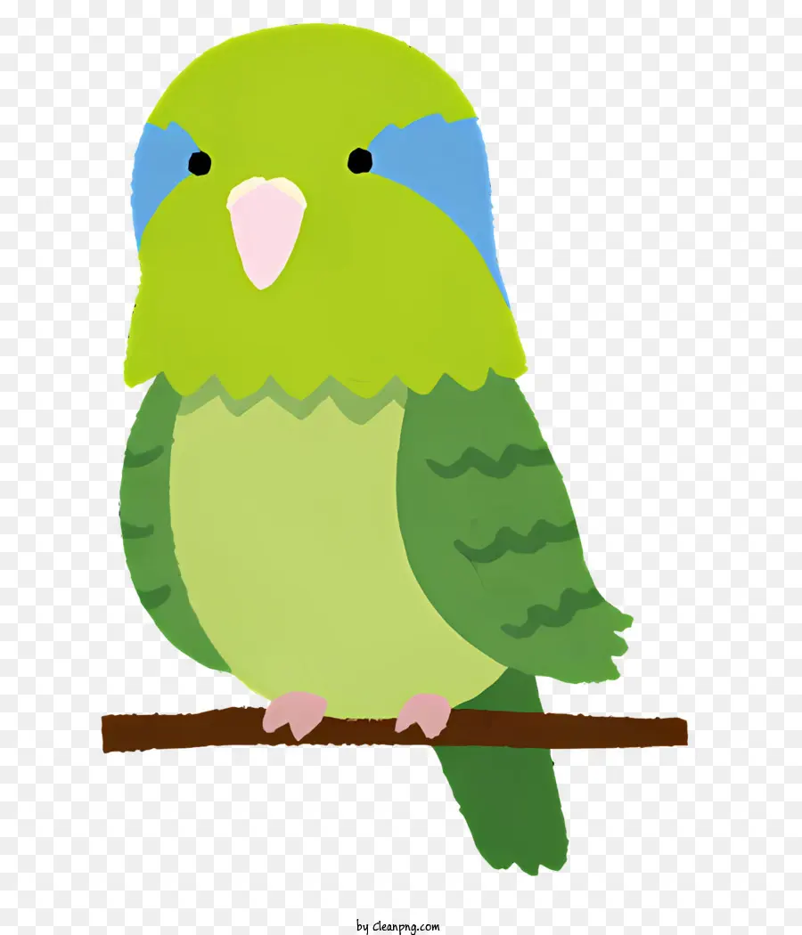 Pássaro Verde，Pássaro Azul PNG