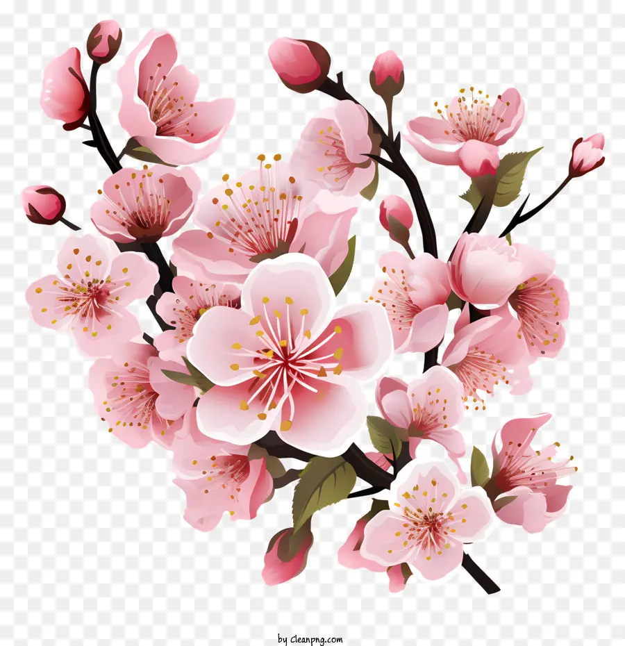 Sakura Flor Ford，Árvore Da Flor Rosa PNG