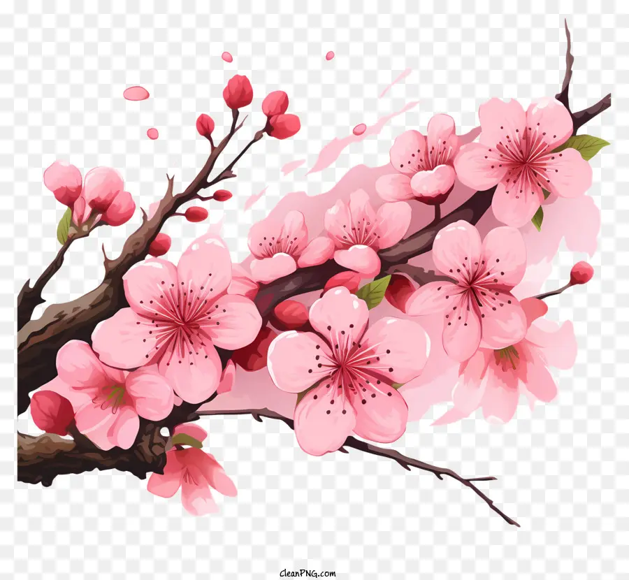 Galhos E Flores De Sakura，Ramo De árvore PNG