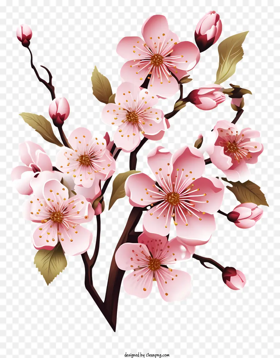 Sakura Flor Ford，Flor De Cerejeira PNG