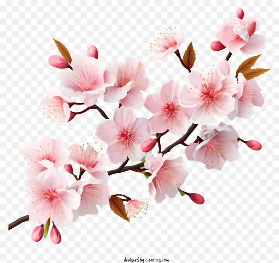 Blossom Realista De Filial De Cereja Em Estilo 3d，Sakura Flor PNG