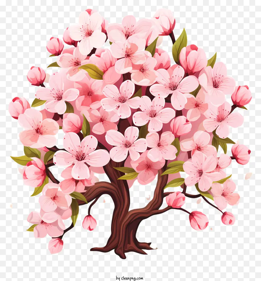Blossom De Filial De Cereja Plana，árvore Exuberante E Vibrante PNG