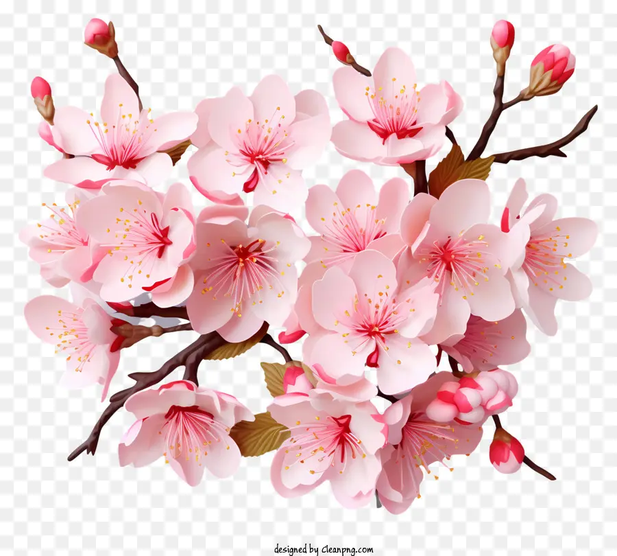 Blossom Realista De Filial De Cereja Em Estilo 3d，Rosa Cereja Floresce PNG