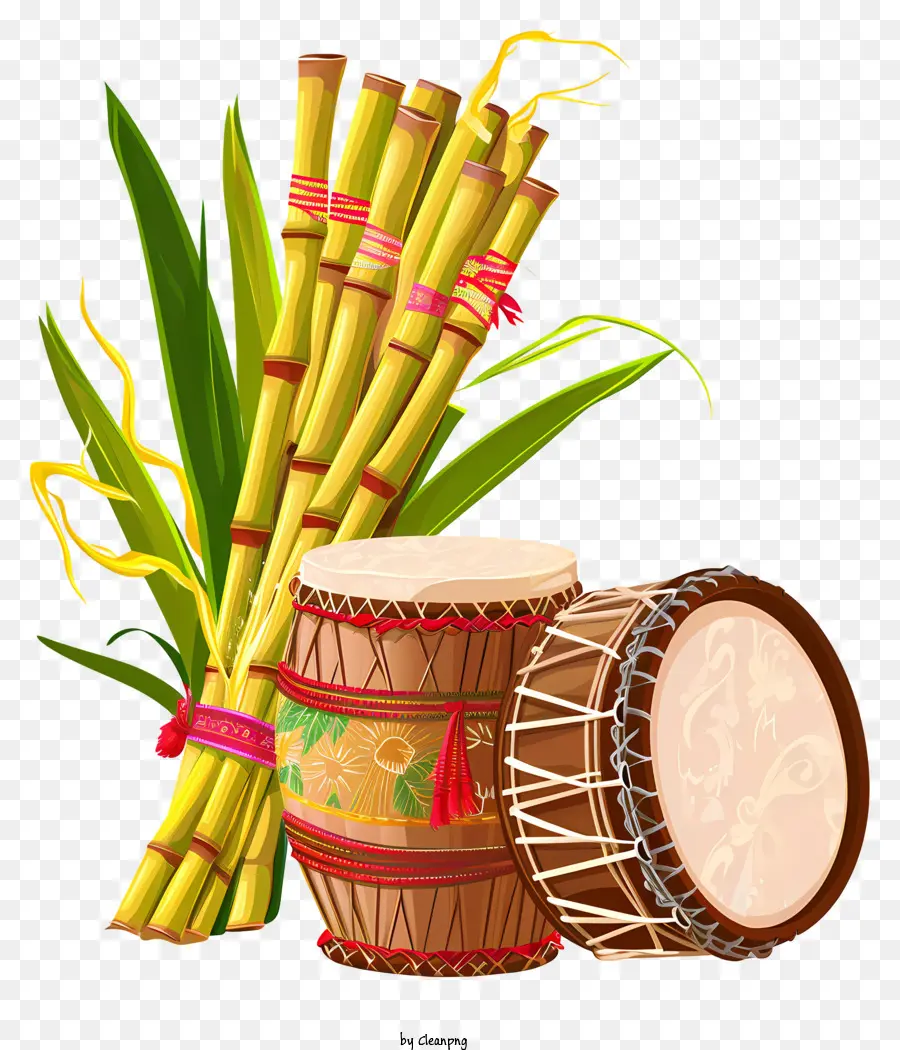 Rohri，Sugarcane PNG