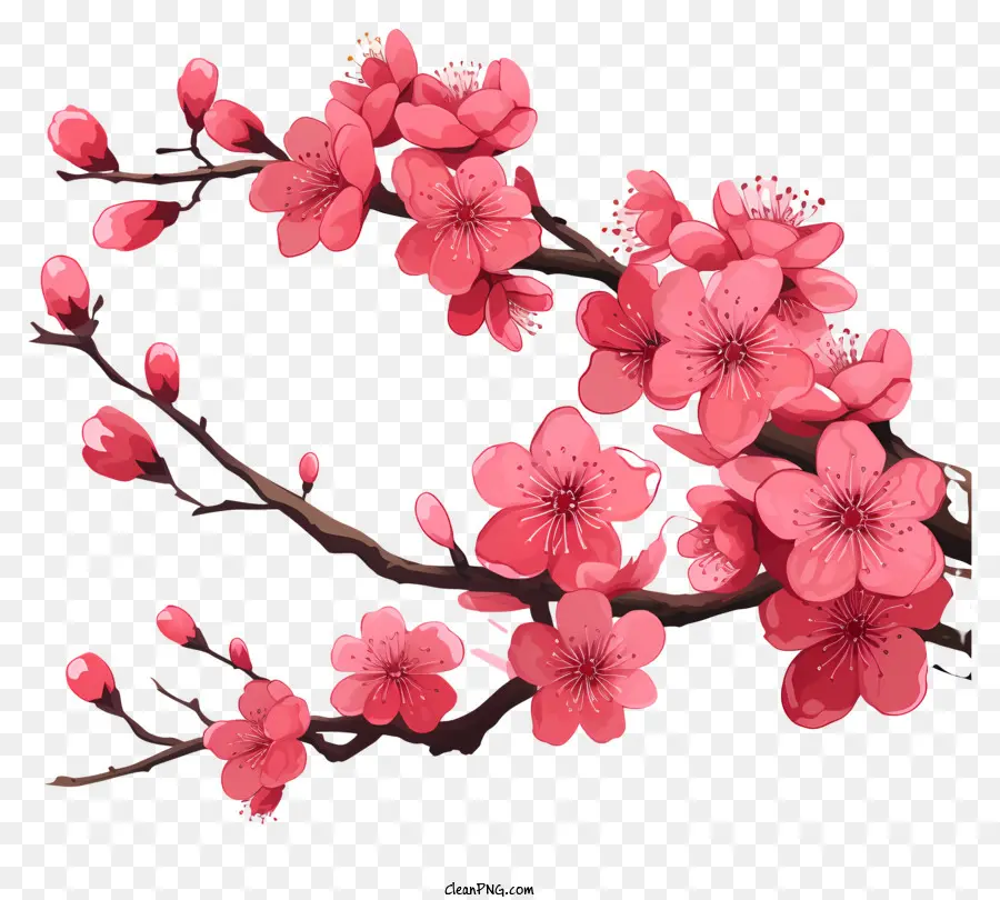 Galhos E Flores De Sakura，Sakura PNG